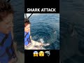 SHARK ATTACK! (VFX)